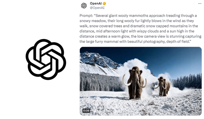 sora-openai
