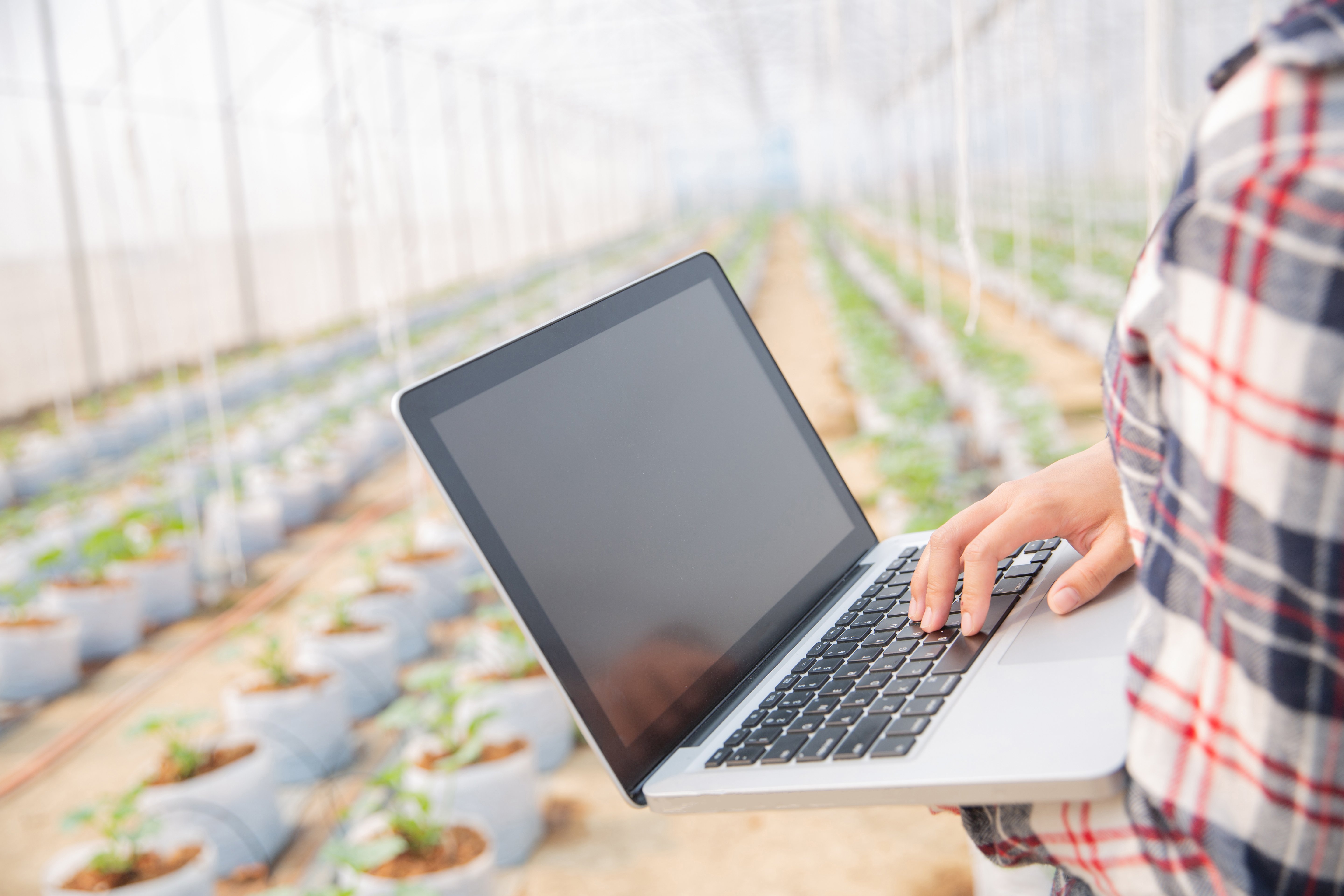 tendencias-tecnológicas-agroindustria