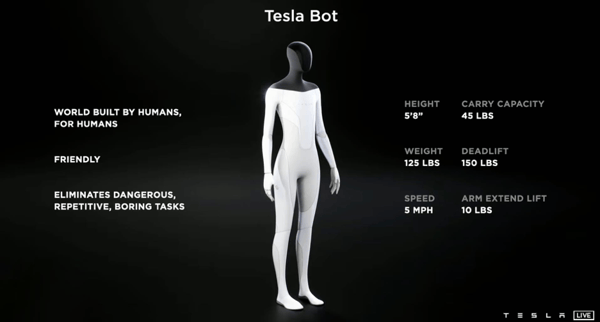 Tesla Bot