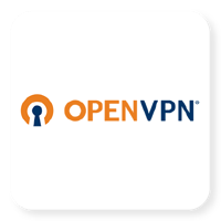 OPEN VPN ACCESS SERVER