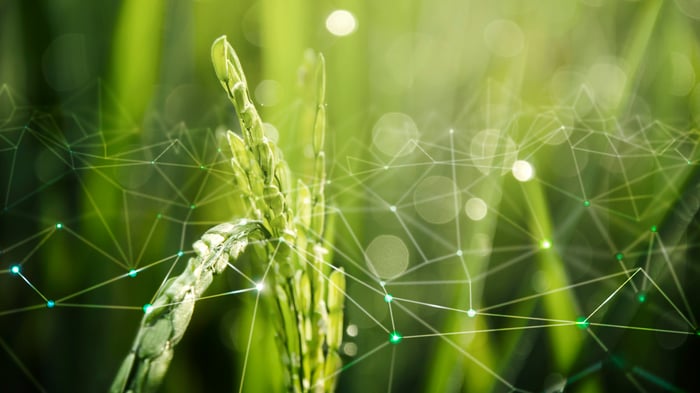 agriculture-
